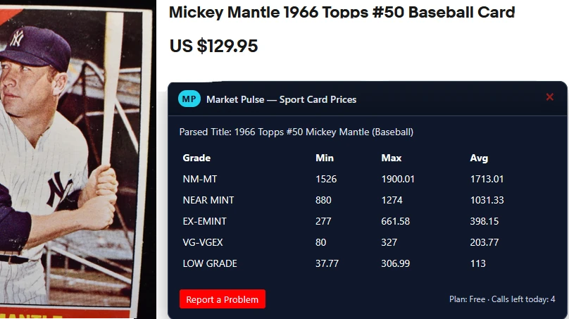 Extension overlay screenshot 2